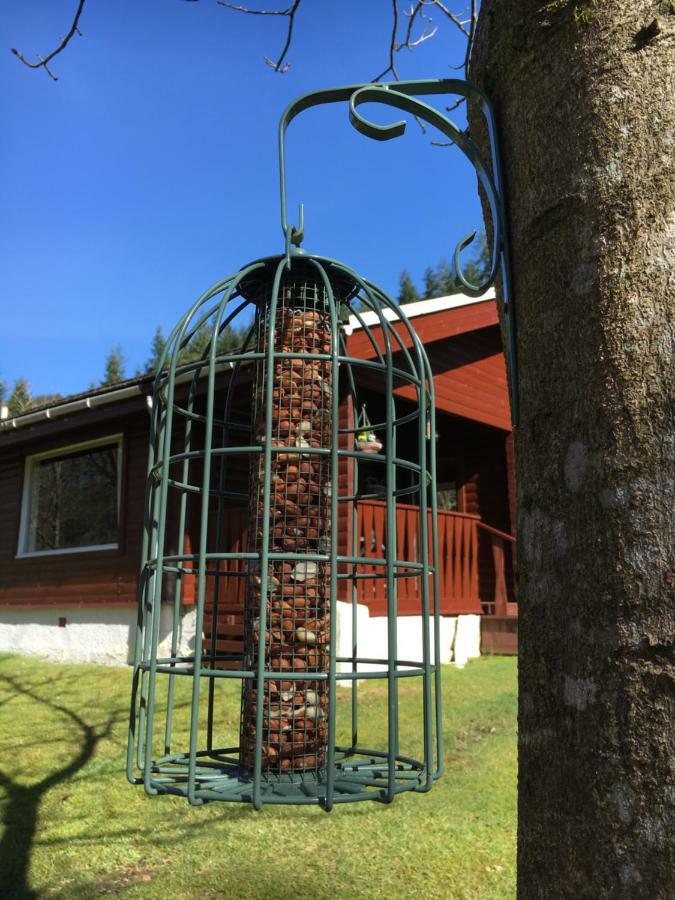 Stravaigin Lodge Dunoon Exterior photo
